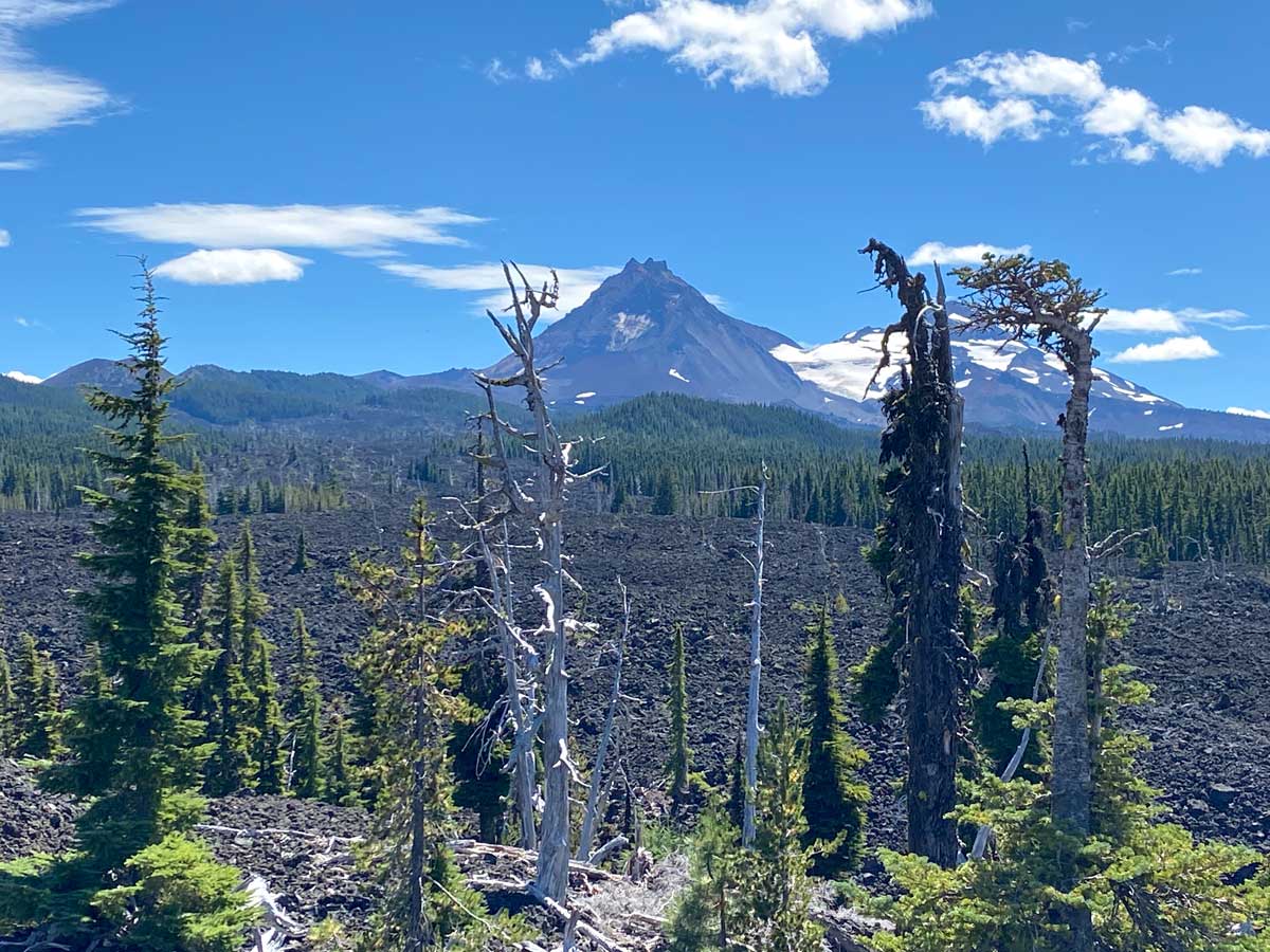 Willamette National forest